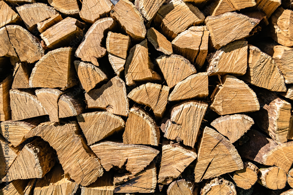 Photography on theme big wall of stacked oak tree logs in cracks Photography on theme big wall of stacked oak tree logs in cracks
