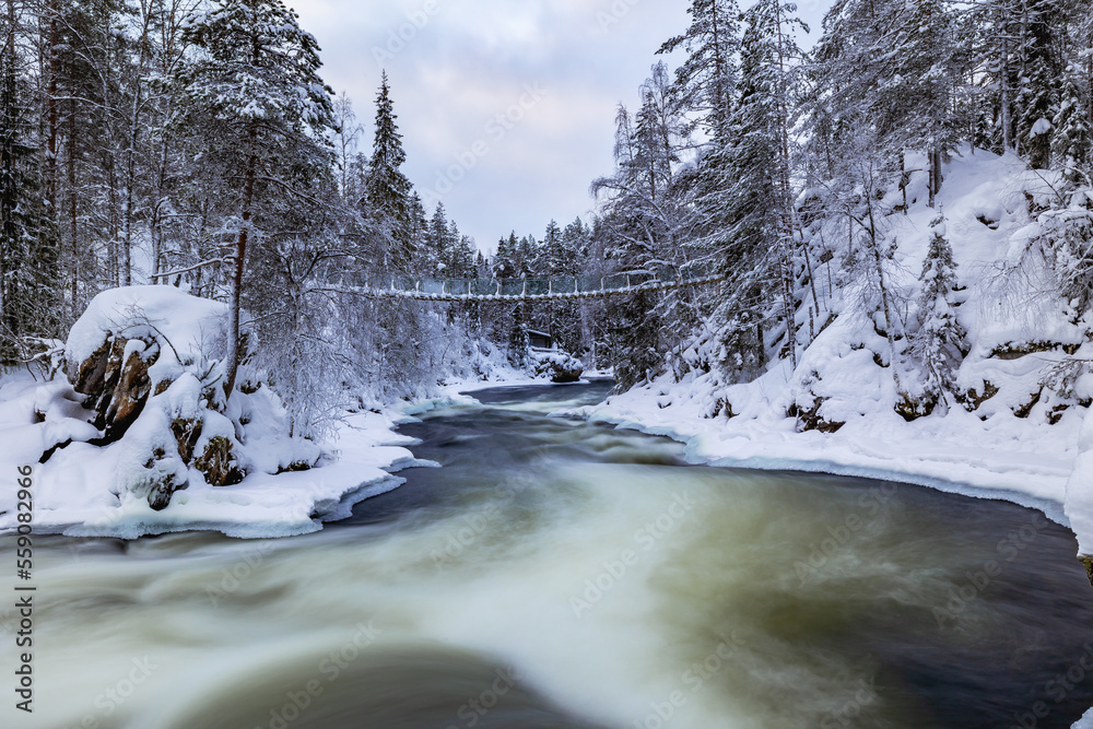 Obraz premium river in winter