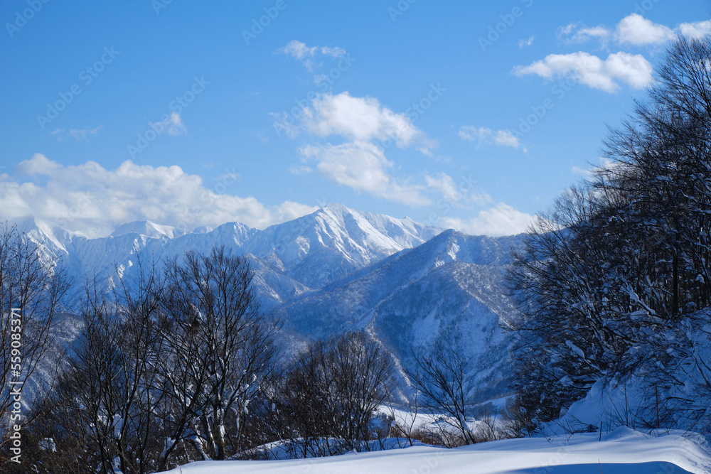 snowscape in Japan, Jan 1st, 2023