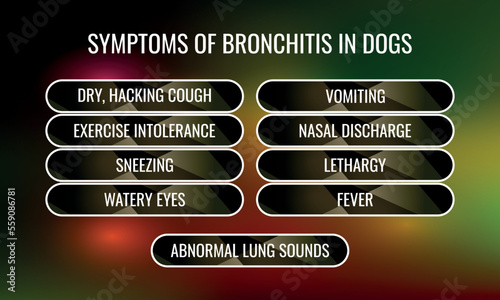 SYMPTOMS OF Bronchitis IN DOGS.  Vector illustration for medical journal or brochure. 