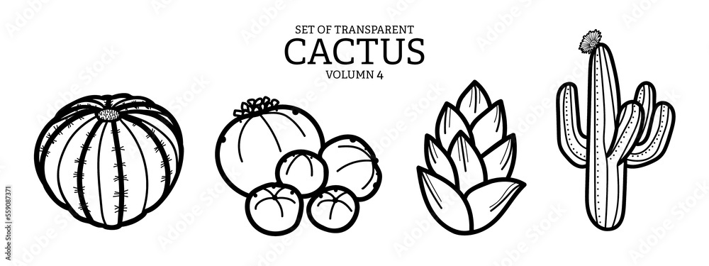 Cute hand drawn isolated black outline cactus on transparent background