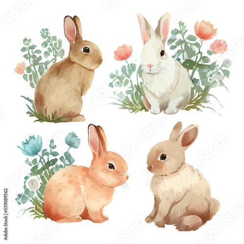 Fotografia set vector illustration of watercolor rabbit on white isotate background