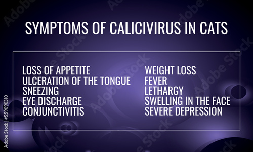 Symptoms of Calicivirus in Cats. Vector illustration for medical journal or brochure.
