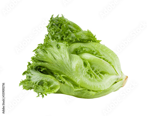green frillies iceberg lettuce on transparent png