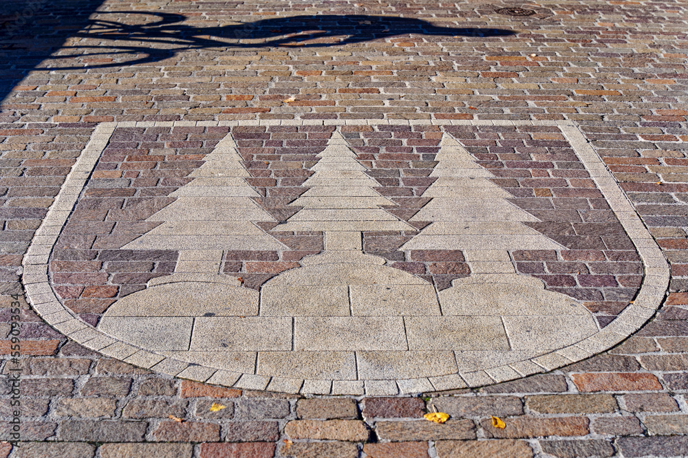 Beautiful coat of arms with shadow of cyclist made of paving stones of Swiss City of Olten, Canton Solothurn, on a sunny autumn day. Photo taken November 10th, 2022, Olten, Switzerland.