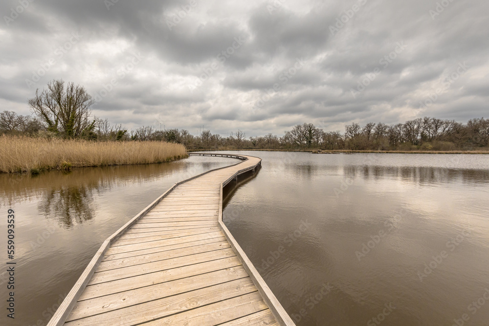Fototapeta premium Wetland boardwalk in Nature reserve France