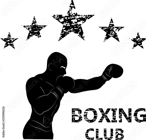 Five Stars. Boxing club. Demonstration of combat skills. Direct hit. Silhouette. Athlete in training.