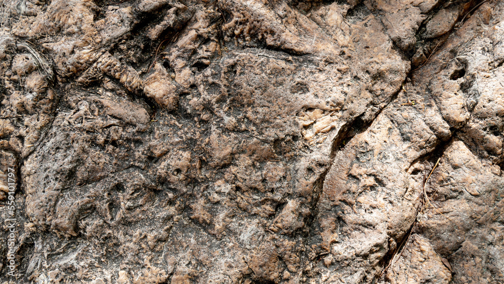 Background and textured of rough stone surface. Background and textured of rough stone surface.