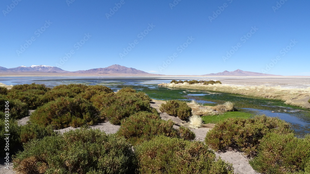 Paisagem Deserto do Atacama Chile -Landscape Atacama Desert Chile Paisagem Deserto do Atacama Chile -Landscape Atacama Desert Chile