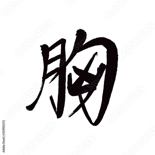 Japan calligraphy art【chest・breast・가슴】本の書道アート【胸・むね・きょう】／This is Japanese kanji 日本の漢字です／illustrator vector イラストレーターベクター