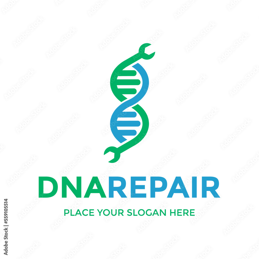 DNA repair vector logo template. This design use chromosome symbol. Suitable for medical, genetic modification. DNA repair vector logo template. This design use chromosome symbol. Suitable for medical, genetic modification.