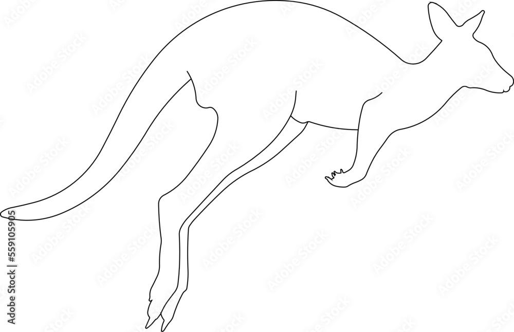 simple kangaroo drawing vector illustration sketch for kids coloring