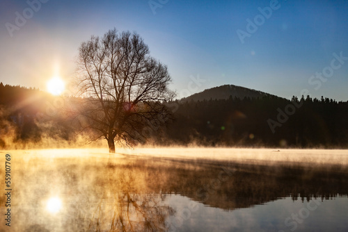 Obraz na płótnie Sunrise above the misty lake w salonie