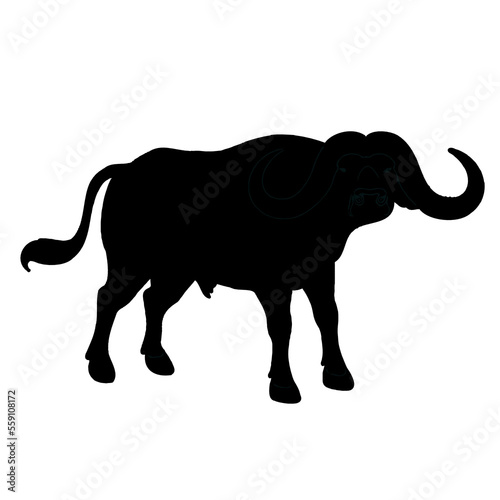 silhouette of elephant with transparent background