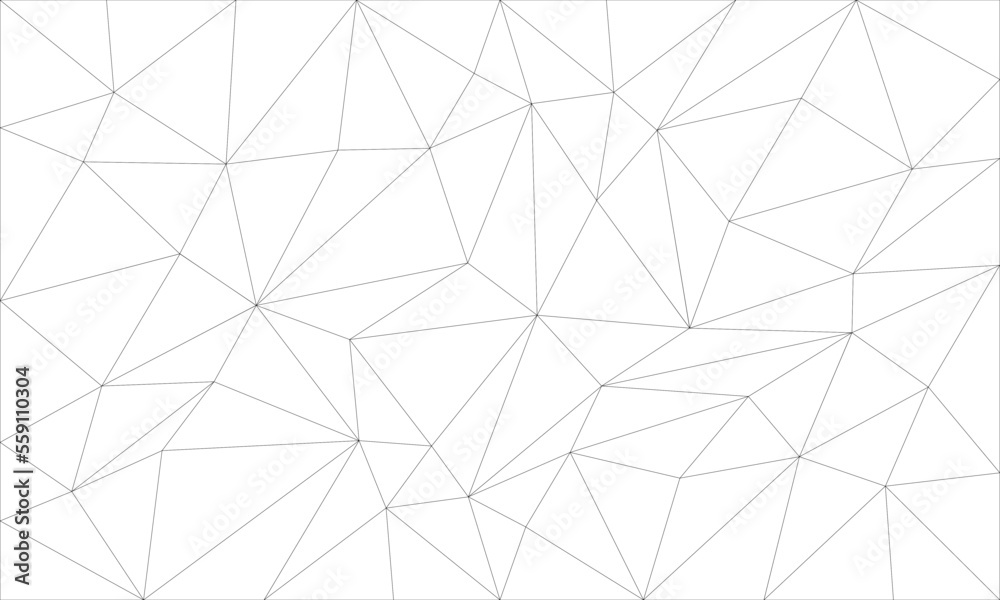 Abstract gray line triangle polygon on white background vector