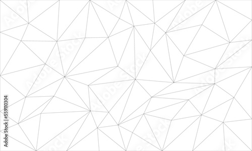 Abstract gray line triangle polygon on white background vector