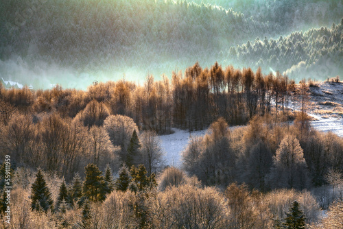 Fototapeta Naklejka Na Ścianę i Meble -  Fairy mountain forest in the winter morning, Bieszczady, Poland