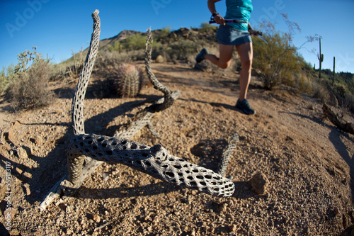 Woman trail running in Usery Mountain Park, Phoenix, Arizona November 2011. photo