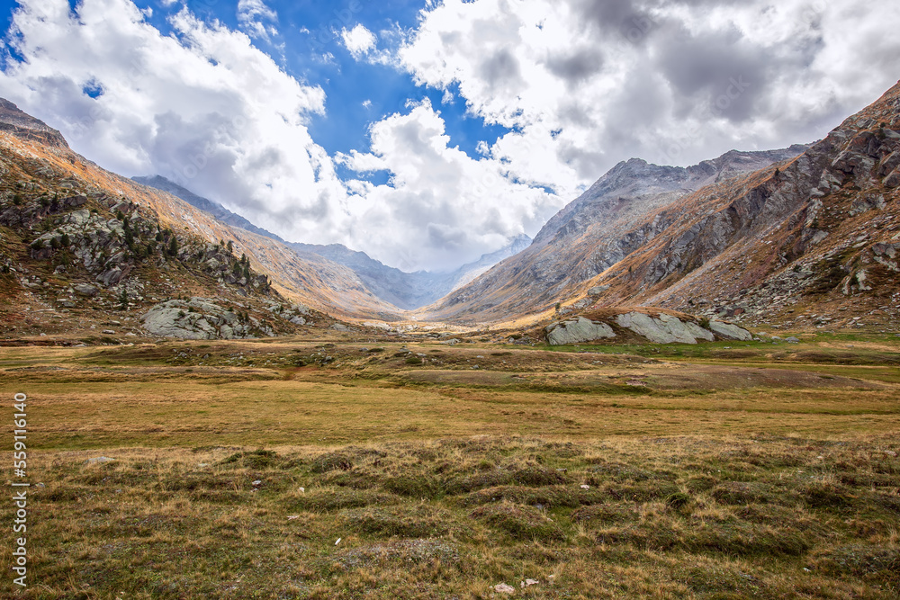 Carpet of autumn withered yellow-green grass on spacious flat meadow in gorge between Italian Alps in Gran Paradiso National Park. Aosta Valley, Italy