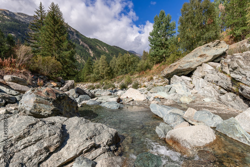 Mountain ice stream among granite rocks covered with mixed green forest in Parco Nazionale del Gran Paradiso. Aosta valley, Italy
