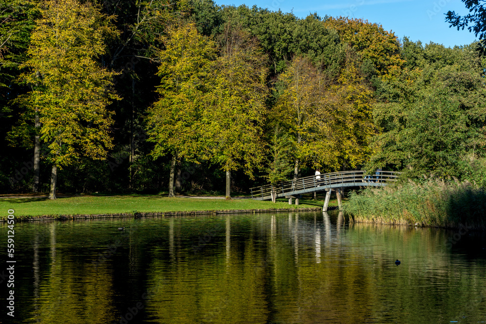 Netherlands, Hague, Haagse Bos, pond in the forest