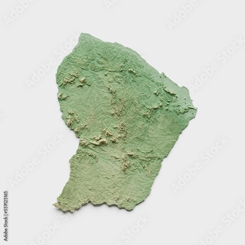 Fotografi French Guiana Topographic Relief Map  - 3D Render
