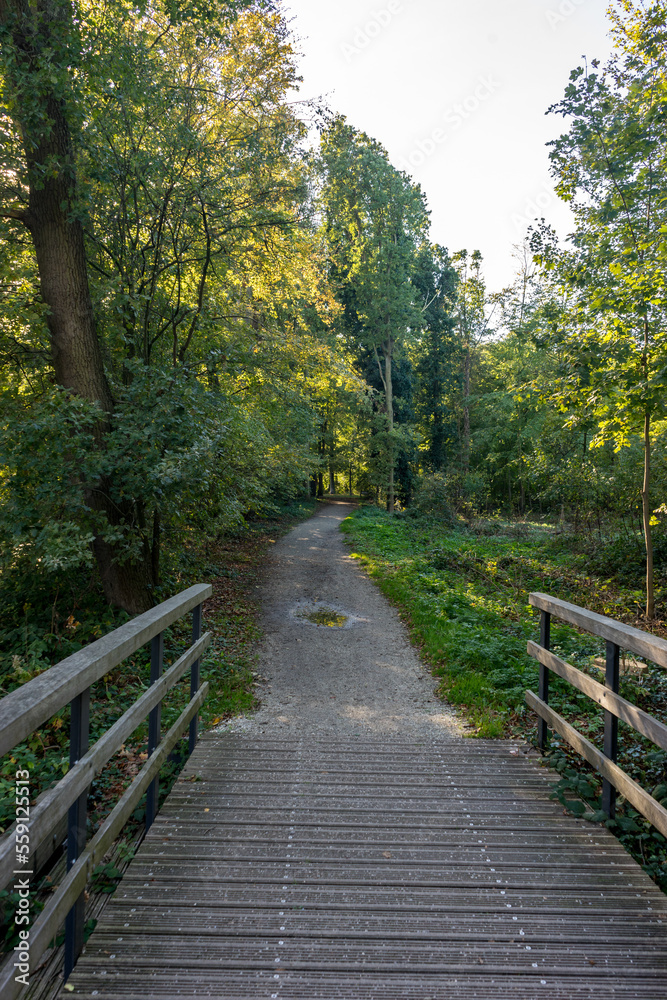 Netherlands, Hague, Haagse Bos, bridge leading to a walking path