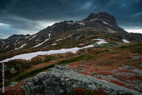 Mountain landscape with summit of Bitihorn in Jotunheimen National Park with red moss and dark cloudy sky in Norway © Bastian Linder