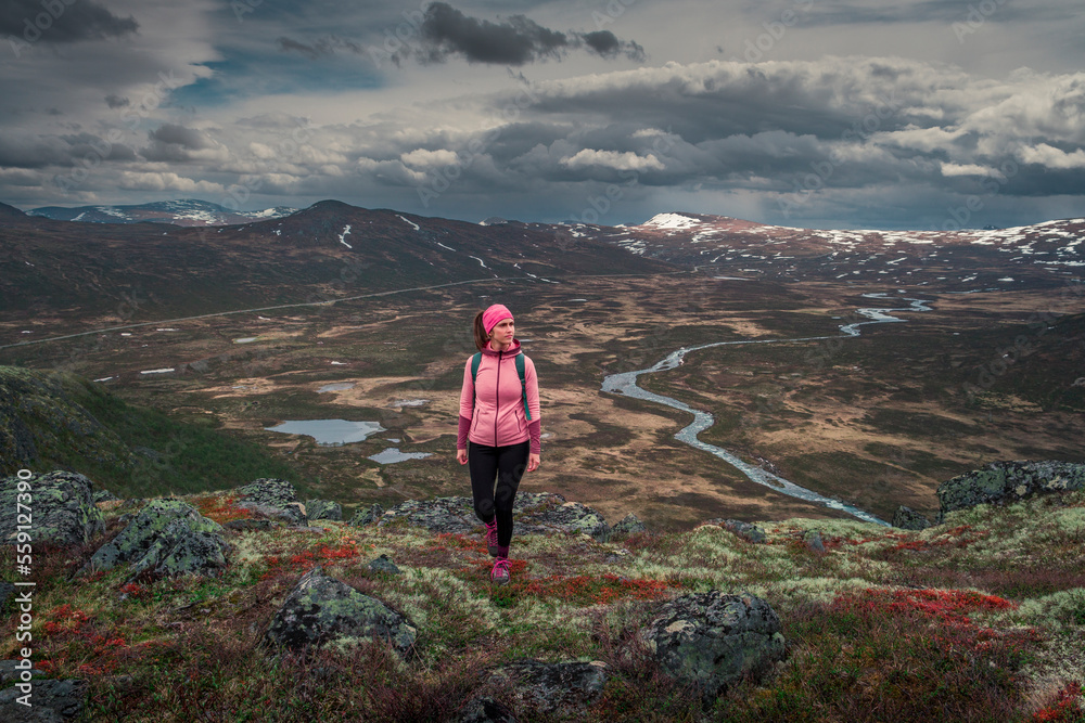 Obraz premium Woman hiking in mountain landscape to Knutshoe summit in Jotunheimen National Park in Norway, view to snow-covered mountains and river and lakes