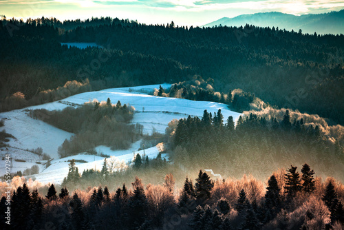 Obraz na płótnie Beautiful morning in snowy hills, Bieszczady, Poland w salonie