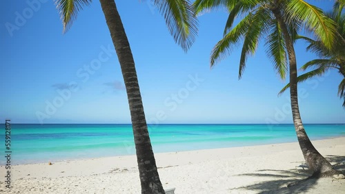 Quiet secluded Matira beach on the island of Bora Bora on the Pacific coast. A strip of white sand with palm trees and clear clear water of the lagoon. Summer landscape of the sea beach. photo
