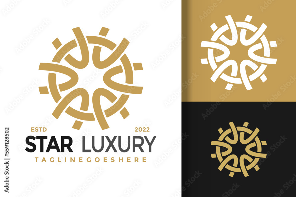 Star Luxury Logo Design Element Stock Vector Illustration Template Star Luxury Logo Design Element Stock Vector Illustration Template