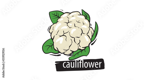 Drawn cauliflower isolated on a white background