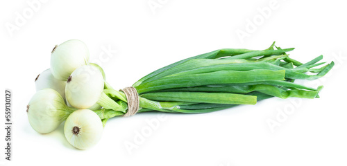 Bunch of freshly harvested onions isolated on white