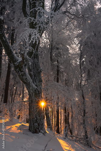Nationalpark Röhn Winterstimmung am Kreuzberg im Abendlicht und schöne Winterlandschaft