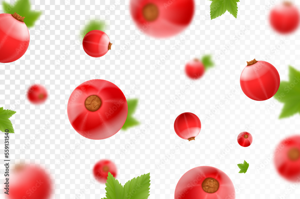 Red currant background. Flying currant with green leaves on transparent background. Falling berries from different angles. Focused and blurry objects. Realistic 3d vector illustration