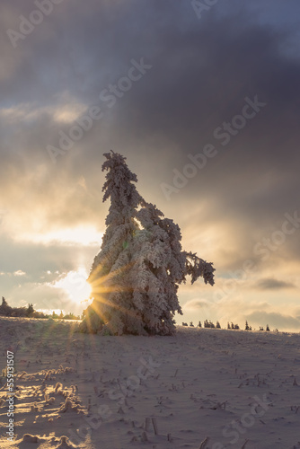 Nationalpark Röhn Winterstimmung am Kreuzberg im Abendlicht und schöne Winterlandschaft mit Sonnenstern und schneebedeckten Tannen in der Abendstimmung