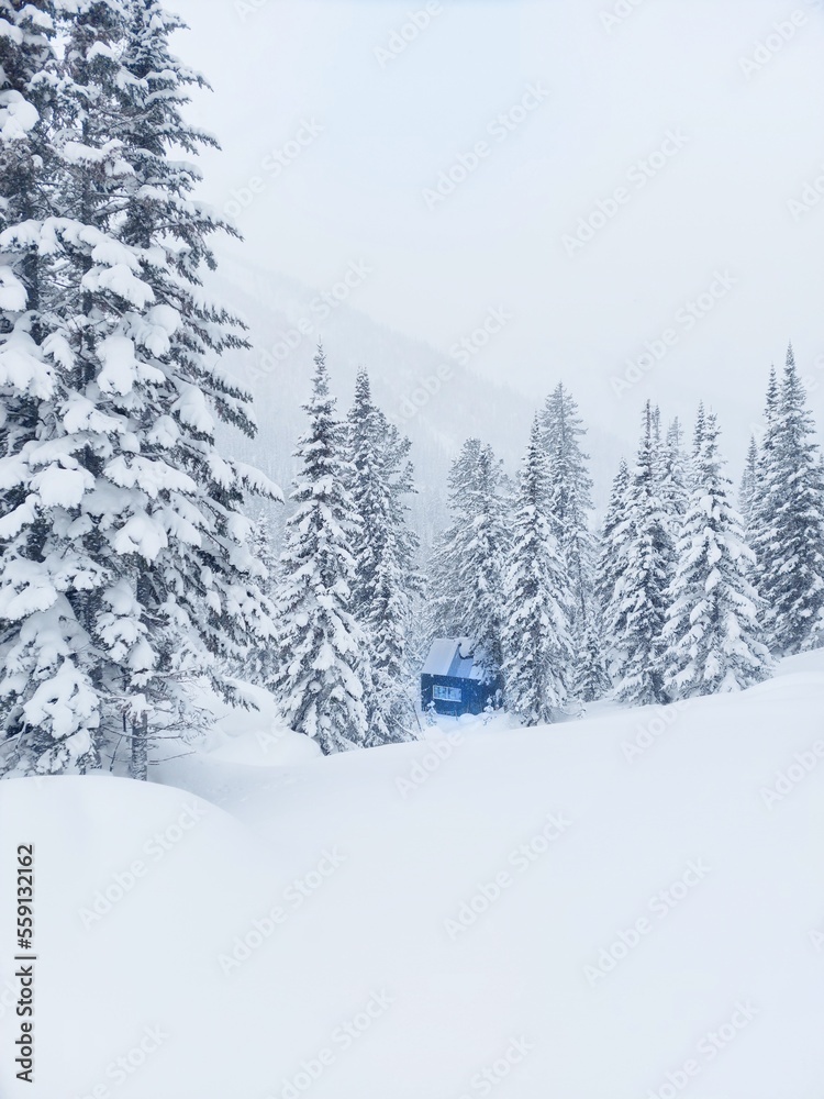 A blue house in thee forest.Winter forest.lots of snow,deep snowdrifts.Winter landscape.The wilderness of the forest. A blue house in thee forest.Winter forest.lots of snow,deep snowdrifts.Winter landscape.The wilderness of the forest.