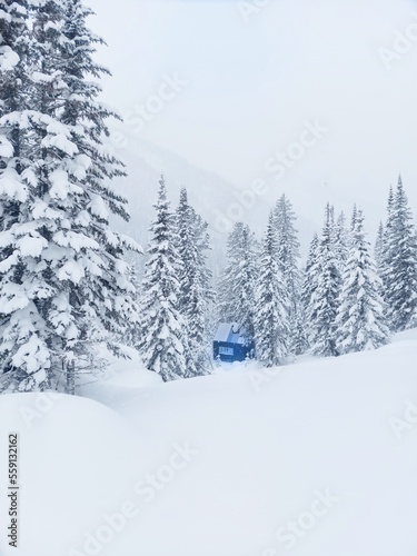 A blue house in thee forest.Winter forest.lots of snow,deep snowdrifts.Winter landscape.The wilderness of the forest.