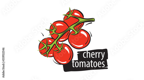 Drawn cherry tomatoes isolated on a white background