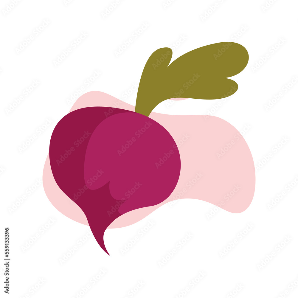 vegetable illustration vector, graphic design.