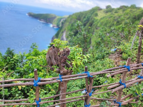 wakacje marzeń bali indonezja