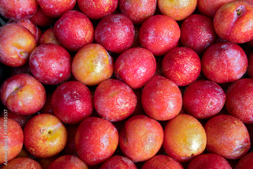 Closeup of heap of European plum at the wholesale market stall on Sao Paulo, Brazil Closeup of heap of European plum at the wholesale market stall on Sao Paulo, Brazil