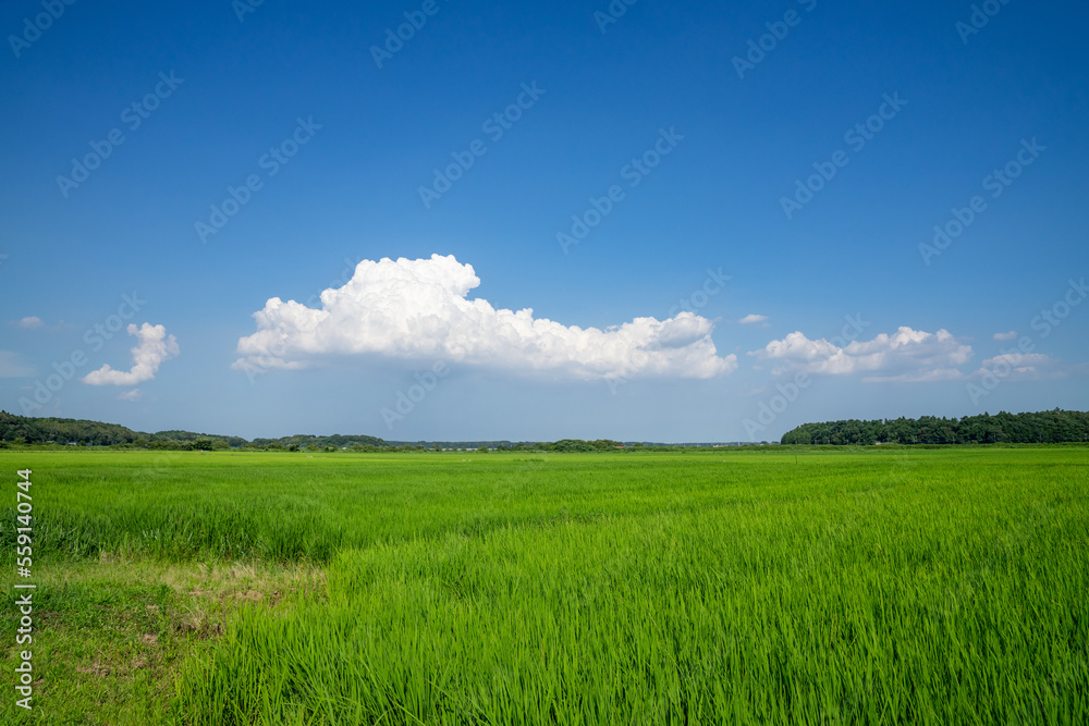 田園風景