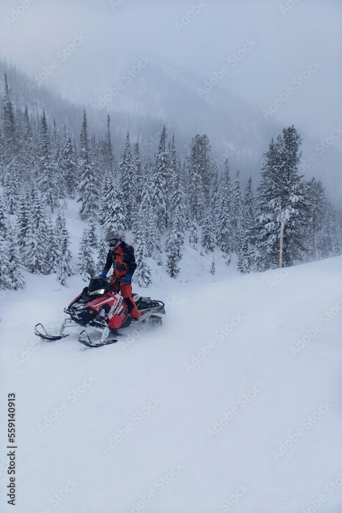 A young adult rides a red snowmobile in the middle of a winter forest.