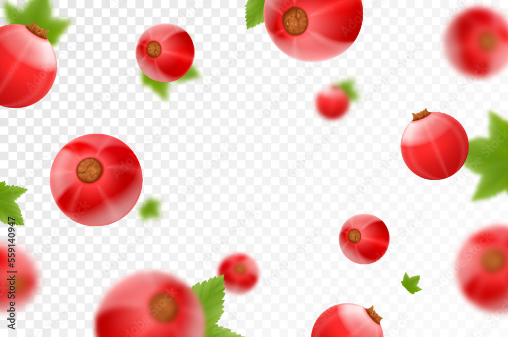 Red currant background. Flying currant with green leaves on transparent background. Falling berries from different angles. Focused and blurry objects. Realistic 3d vector illustration Red currant background. Flying currant with green leaves on transparent background. Falling berries from different angles. Focused and blurry objects. Realistic 3d vector illustration