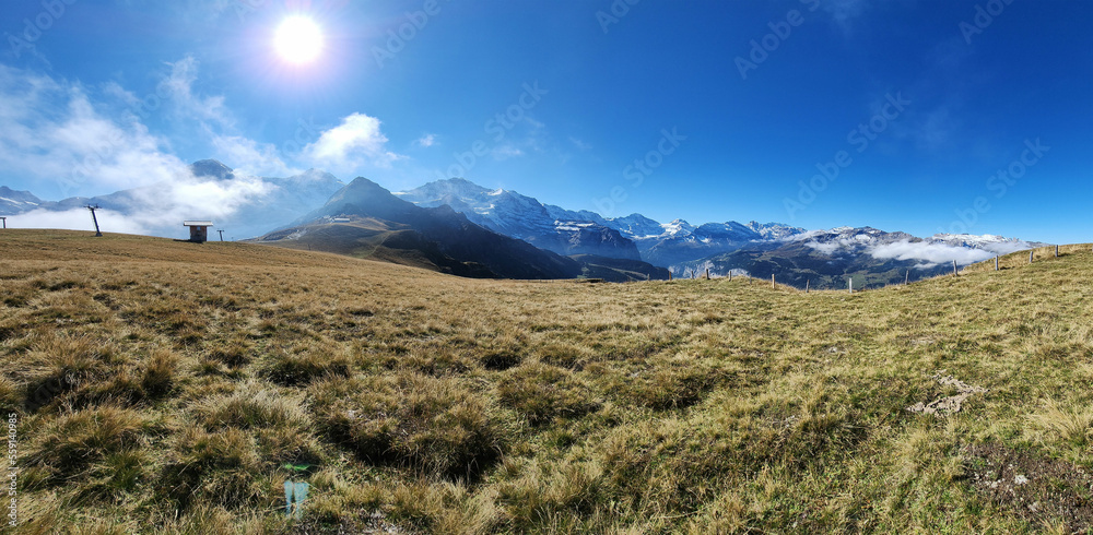 Switzerland mountain with part of meadow wide shot