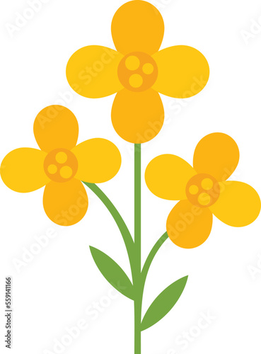 Field canola icon flat vector. Oil plant. Flower rape isolated
