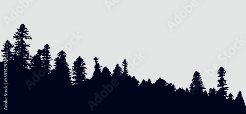 Background with evergreen forest silhouettes 