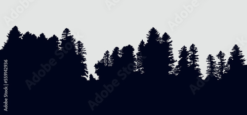 Background with evergreen forest silhouettes 